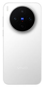 vivo X300s