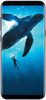 samsung galaxy s8  mobile under 30000