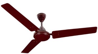 Havells Pacer 3 Blade (1400mm) Ceiling Fan