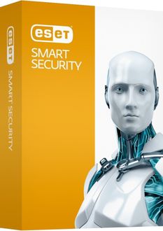 eset business pricing