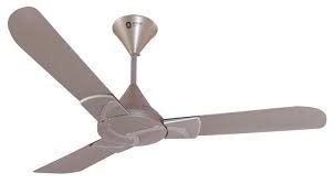 Orient Curl 3 Blade (1200mm) Ceiling Fan Price in India