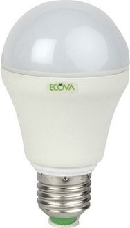 Ecova 5W Cool Day Light E27 Base LED Bulb Price in India