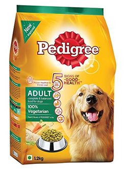 different dog brushes