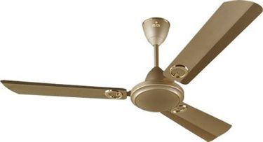 Polycab Brio Decorative 3 Blade (1200mm) Ceiling Fan Price in India