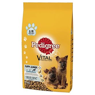 Pedigree Puppy Large Breed Dog Food (10 Kg)