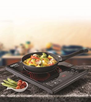 induction stove usha price