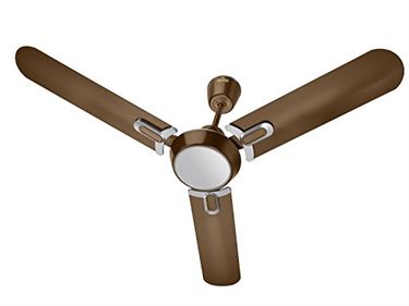 Polycab Regalia 3 Blade (1200mm) Ceiling Fan Price in India