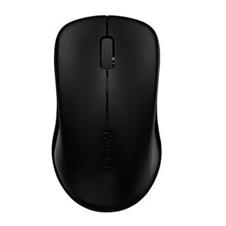 Rapoo 1620 Wireless Optical Mouse Price in India