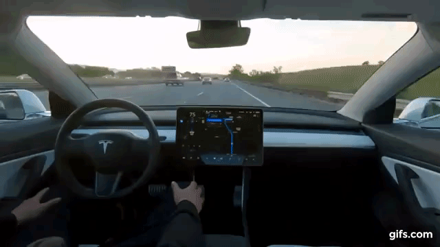 Tesla Autonomous Car