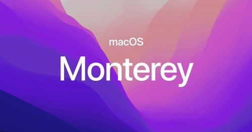https://assets.mspimages.in/gear/wp-content/uploads/2021/10/MacOS-Monterey-18102021.jpg