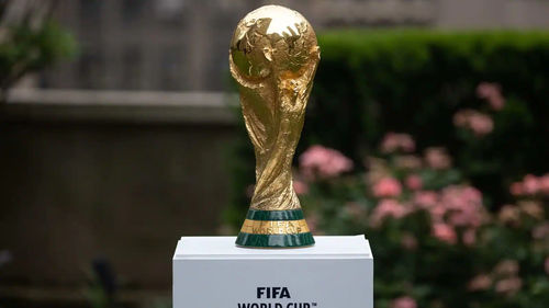 https://assets.mspimages.in/gear/wp-content/uploads/2022/11/FIFA-World-Cup-1.png