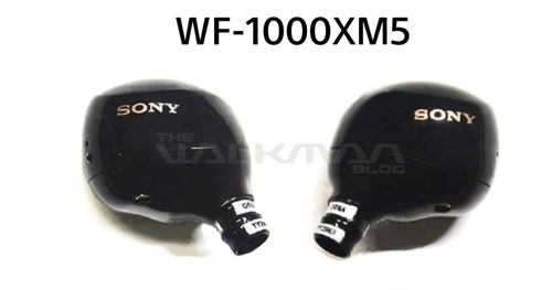 https://assets.mspimages.in/gear/wp-content/uploads/2023/03/Sony-WF-1000XM5.jpg