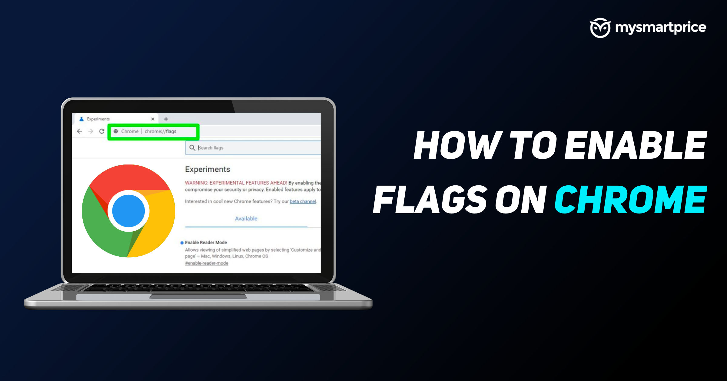 What are flags in website?