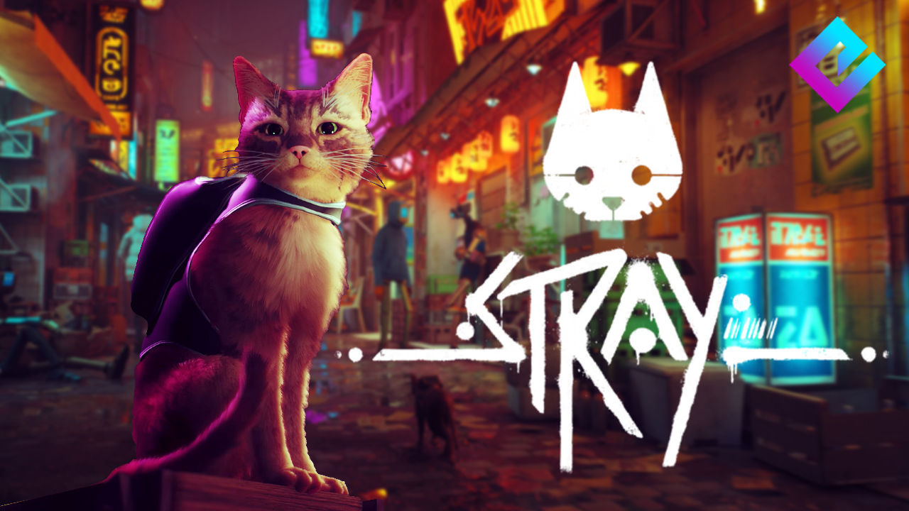 猫のゲーム「Stray」が夏にリリース予定 - TECHTREND