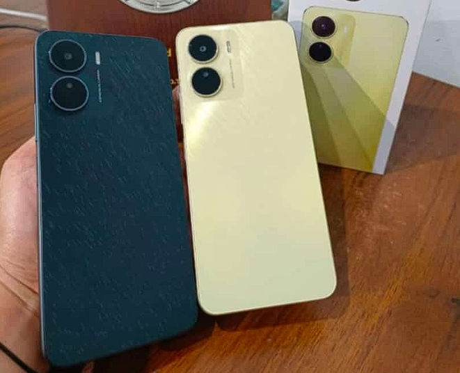 y16 vivo color