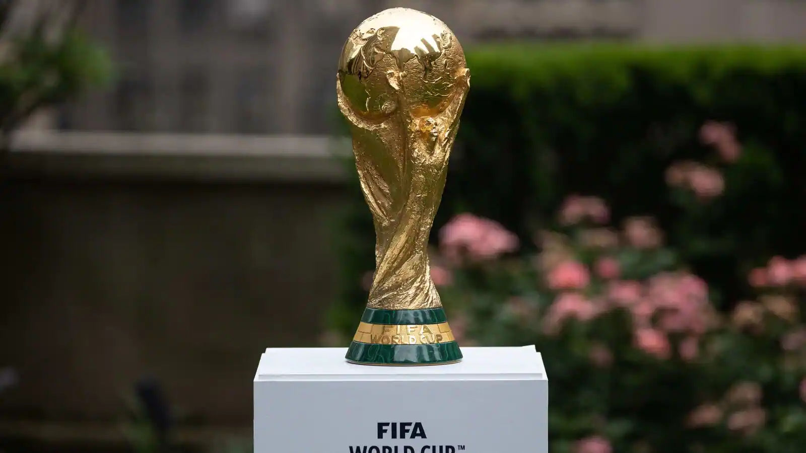 FIFA World Cup Final 2022 Live Streaming Free How to Watch the Live Matches Online on Mobile (App and Website)