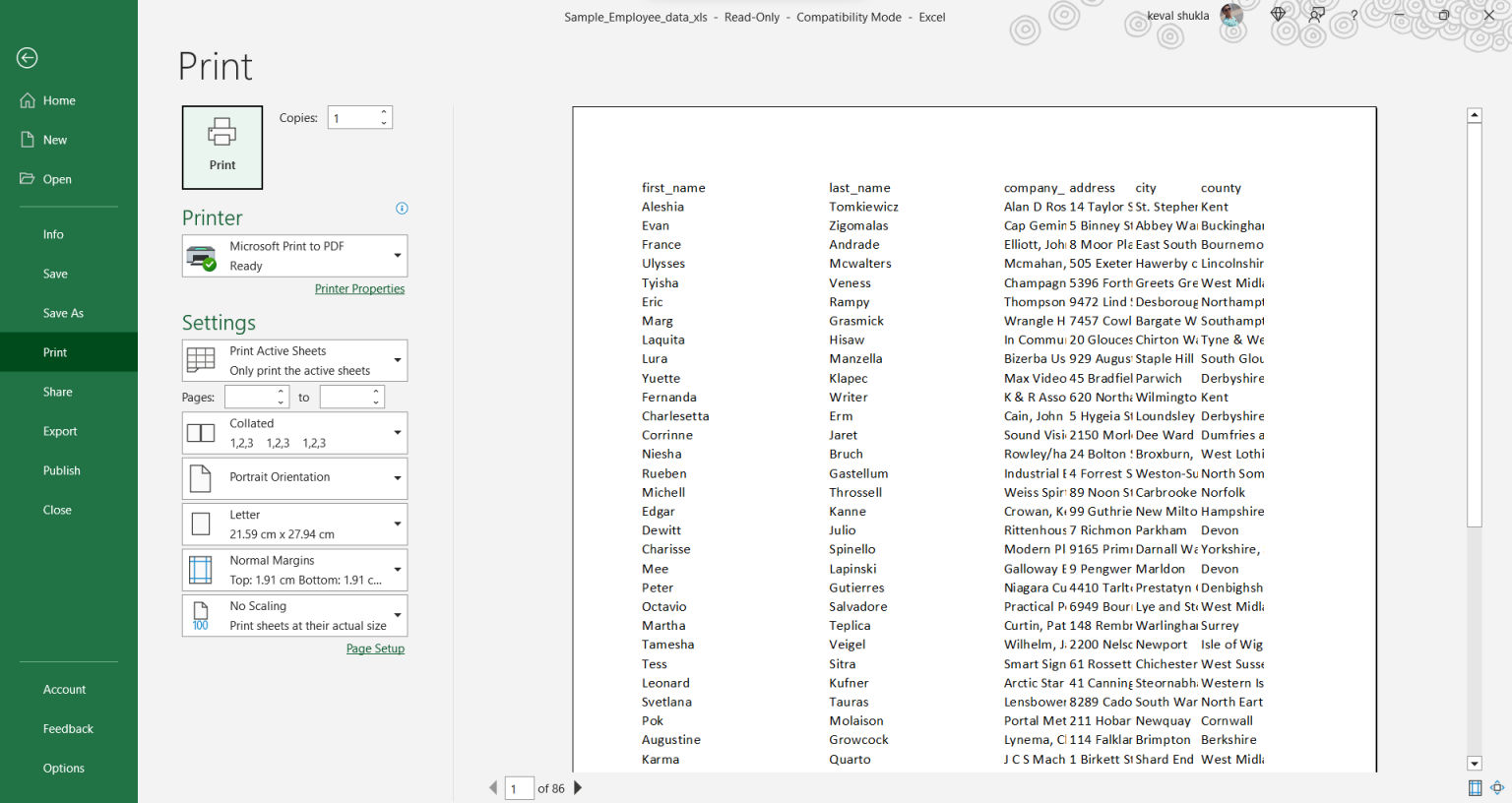 Print Preview Shortcut Key on Windows: How to Use in MS Excel, Word and ...