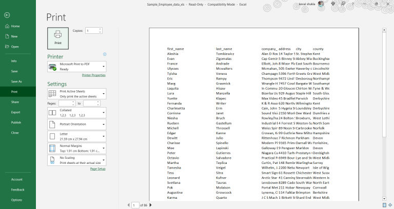 Print Preview Shortcut Key On Windows: How To Use In MS Excel, Word And ...