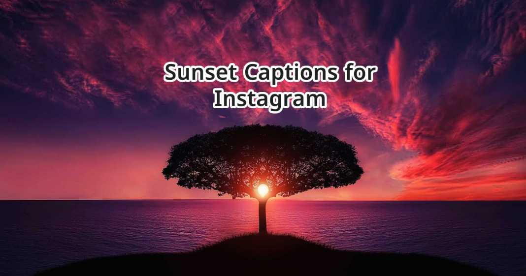 200 Sunset Captions And Quotes For Instagram 2023 Mysmartprice