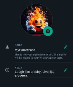 WhatsApp About Lines: 500+ Best and Short WhatsApp Bio Captions & Quotes  For Boys and Girls