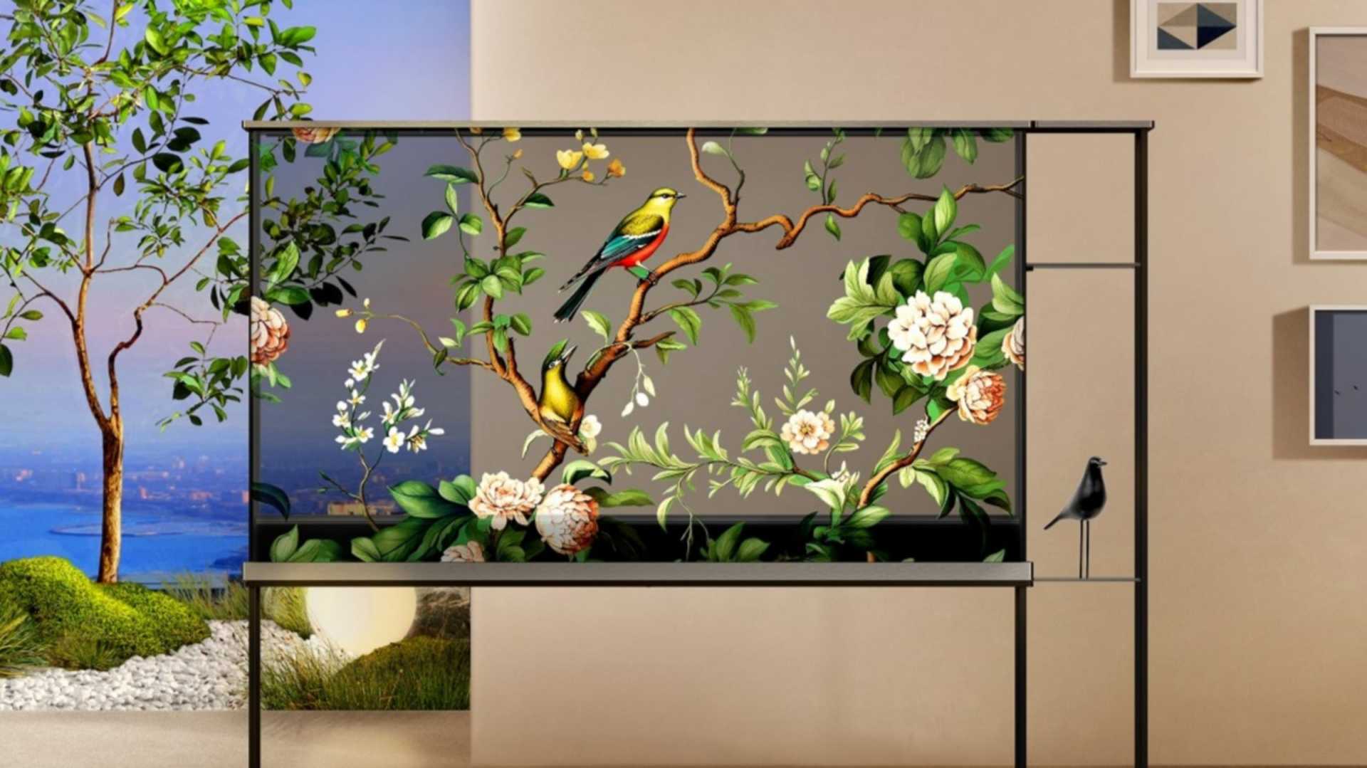 lg tv new model 2024 price in india