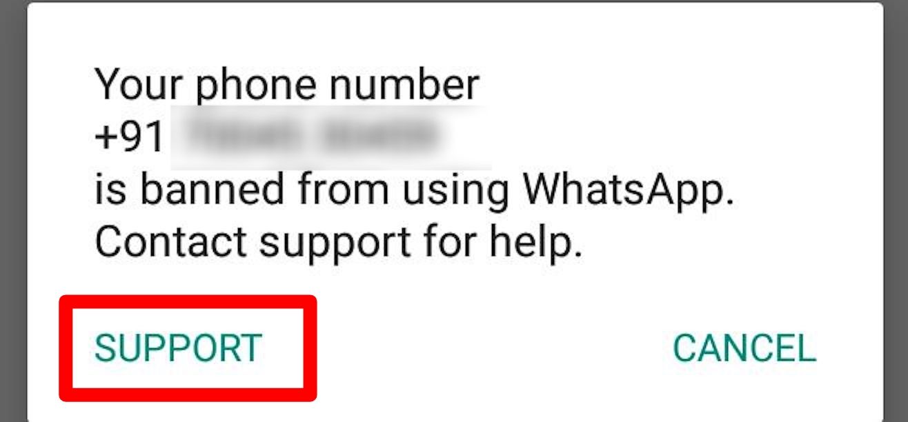 contact whatsapp support