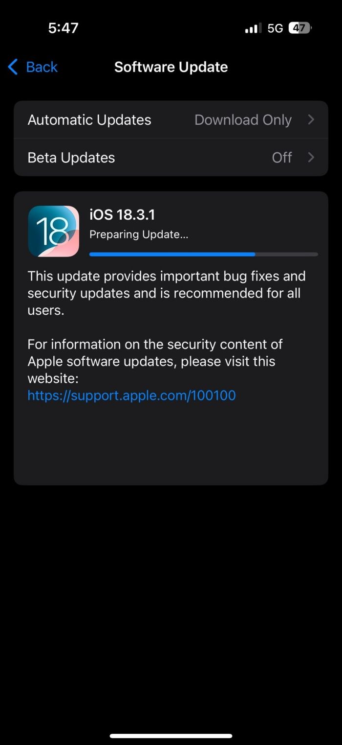 iOS 18.3.1