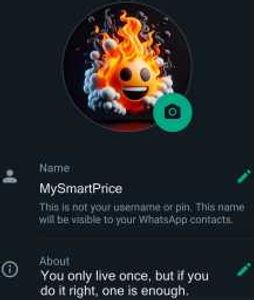 WhatsApp About Lines: 500+ Best and Short WhatsApp Bio Captions 