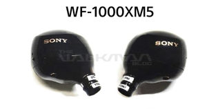 Sony WF-1000XM5