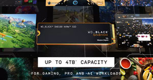 Sandisk WD Black SN8100