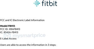 Fitbit-FB413