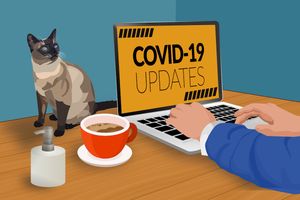 Work from home broadband plans