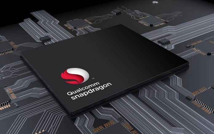Snapdragon (3)