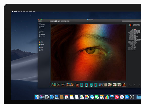 microsoft office 2019 for mac os mojave