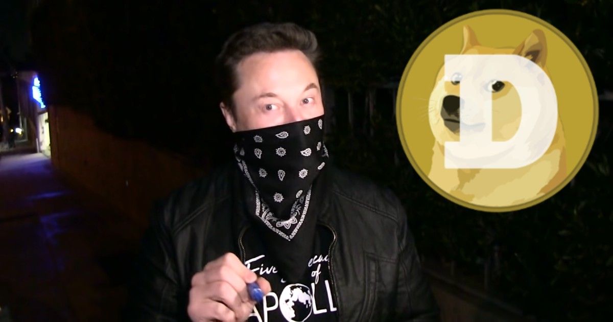 Elon Musk Calls Dogecoin The Future Of Cryptocurrency Yet Asks People To Invest With Caution Droid News