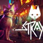 download stray