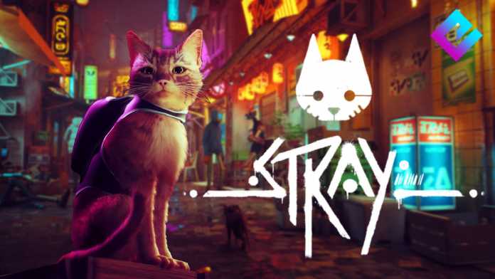 download stray