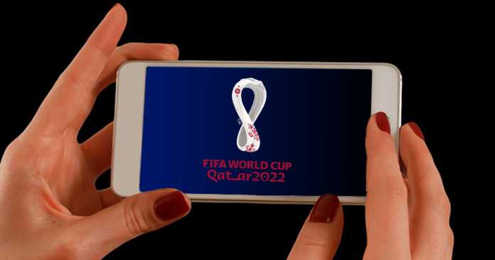 FIFA World Cup Qatar 2022 live stream MSP