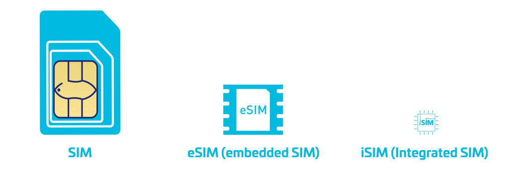 [Explained] iSIM: What is it, Benefits, and How it is Different from ...