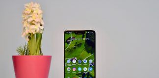 Google Pixel 3 XL Display