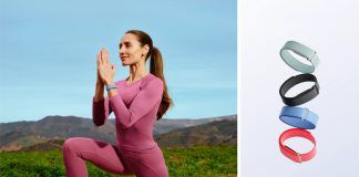 Google Fitbit Air