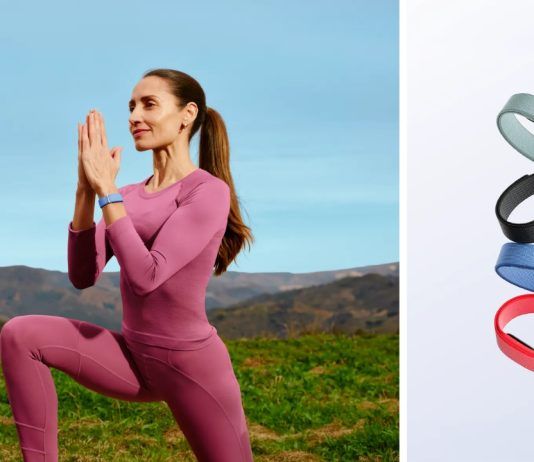 Google Fitbit Air